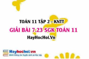 Bài 7.23 SGK Toán 11 Tập 2 Kết nối tri thức